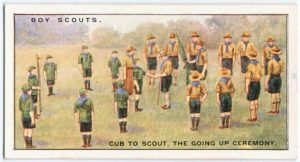 cubtoscout